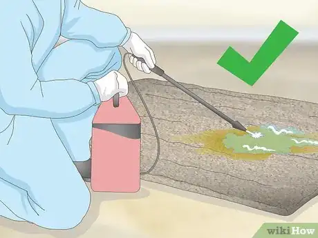 Image intitulée Remove Old Dog Urine Stains Step 16