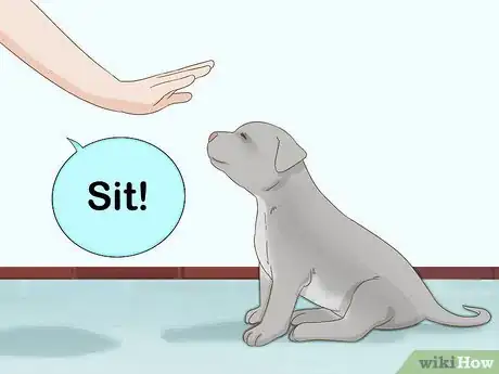 Image intitulée Take Care of a Pitbull Puppy Step 2