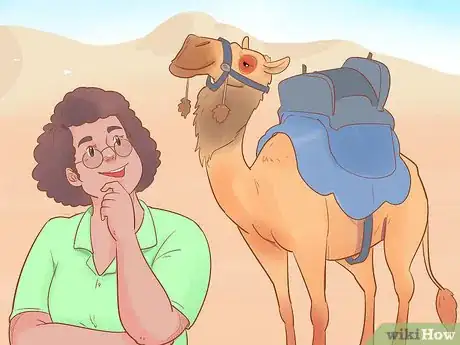 Image intitulée Buy a Camel Step 18