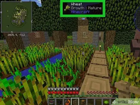 Image intitulée Grow Wheat in Minecraft Step 7