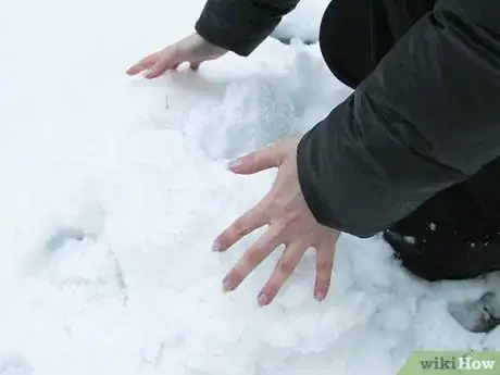 Image intitulée Make a Snowball Step 11