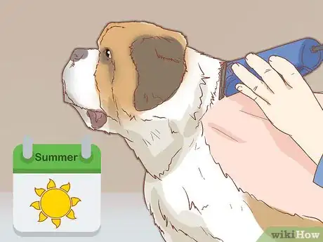 Image intitulée Treat Heat Stroke in Dogs Step 13