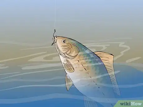 Image intitulée Catch a Carp Step 12