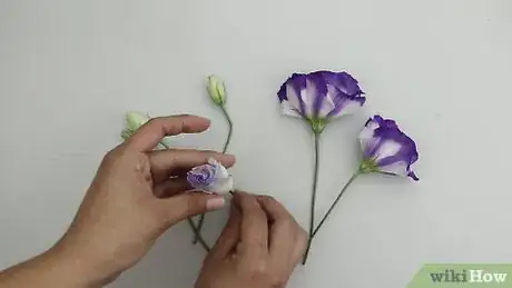 Image intitulée Dry Flowers Step 23