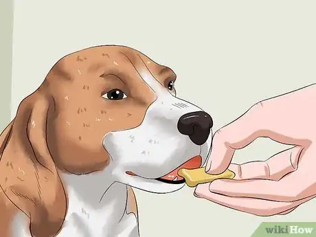Image intitulée Bathe a Dog and Keep It Calm Step 16