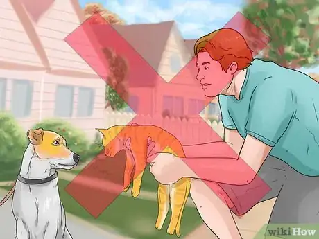 Image intitulée Make Your Dog Like Your Cat Step 20