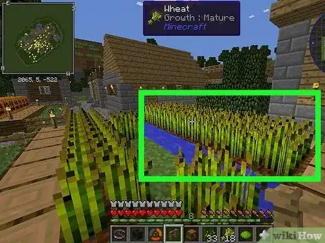 Image intitulée Grow Wheat in Minecraft Step 8