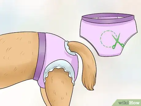 Image intitulée Keep Diapers on a Dog Step 4