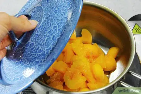 Image intitulée Freeze Apricots Step 12