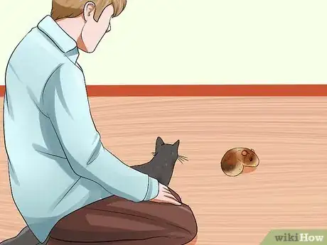 Image intitulée Keep Guinea Pigs when You Have Cats Step 10