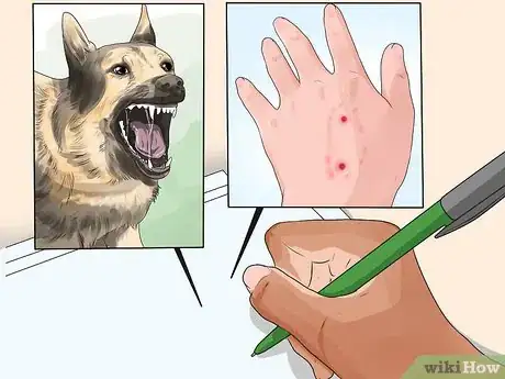 Image intitulée Identify Rabies in Humans Step 8