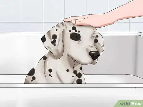Image intitulée Bathe a Dog and Keep It Calm Step 11
