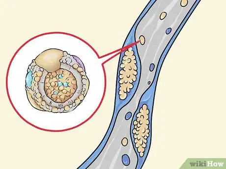 Image intitulée Raise HDL Cholesterol Levels Step 1