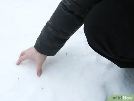 Image intitulée Make a Snowball Step 7