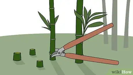 Image intitulée Kill Bamboo Step 1