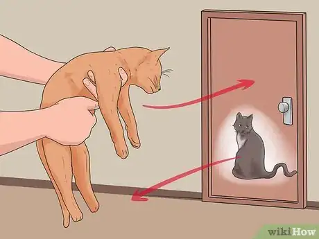 Image intitulée Bring a Second Cat Into the Family and Not Make Your Old Cat Upset Step 9