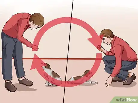 Image intitulée Teach Your Puppy to Lie Down Step 9