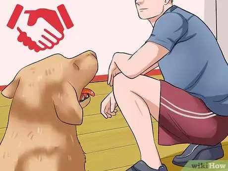 Image intitulée Rub a Dog's Tummy Step 4