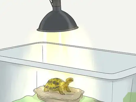 Image intitulée Make A Habitat for Hermann’s Tortoises Step 8