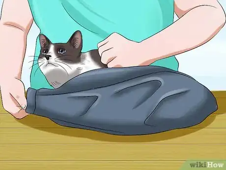 Image intitulée Use a Cat Comfort Bag Step 5