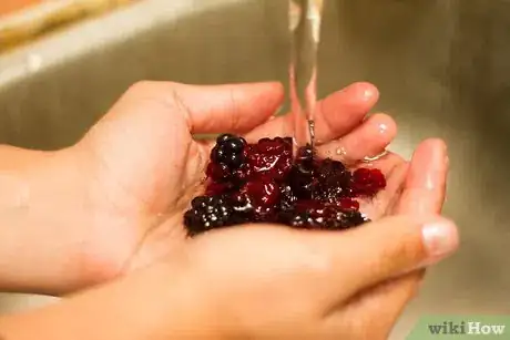 Image intitulée Freeze Blackberries Step 2