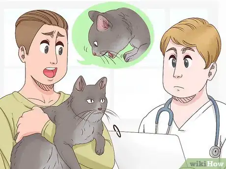 Image intitulée Help a Cat Cough Up a Hairball Step 10