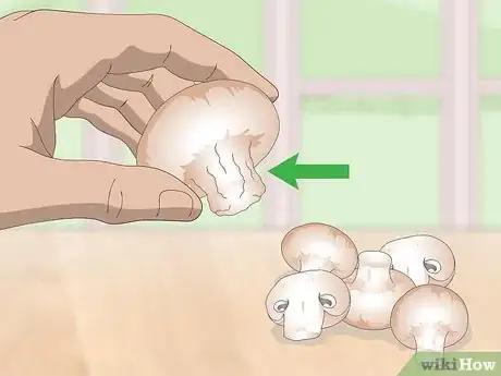 Image intitulée Tell if Mushrooms Are Bad Step 1
