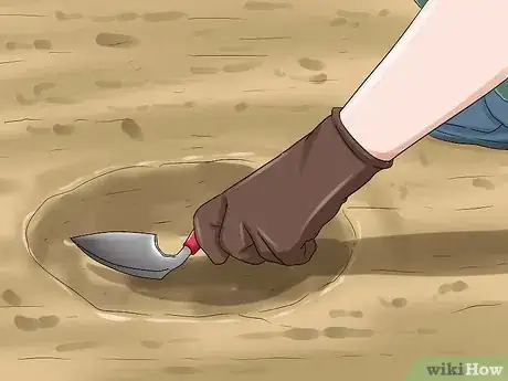 Image intitulée Care for a Dying Guinea Pig Step 10