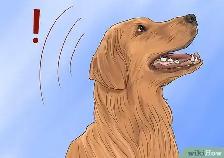 Image intitulée Stop a Neighbor's Dog from Barking Step 5
