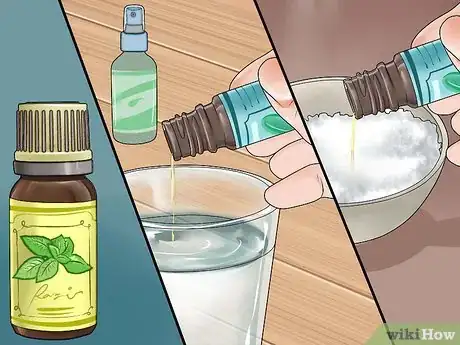 Image intitulée Use Essential Oils Step 5