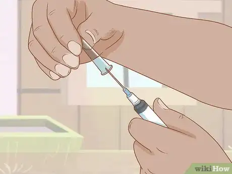 Image intitulée Give Cattle Injections Step 10