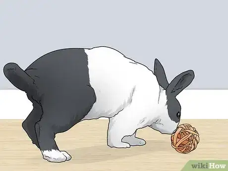 Image intitulée Stop a Rabbit's Biting Habit Step 13