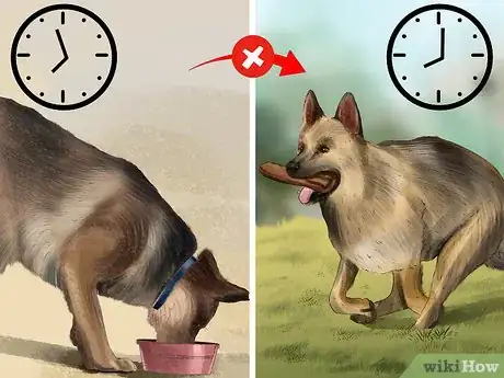 Image intitulée Take Care of a German Shepherd Step 13