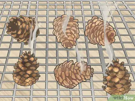 Image intitulée Preserve Pinecones Step 10