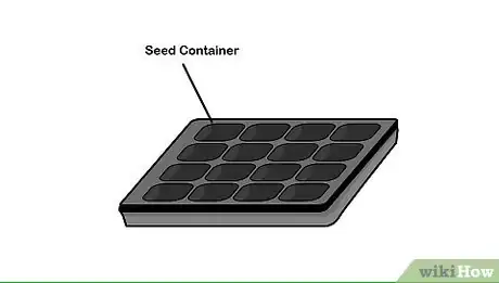 Image intitulée Germinate Seeds Step 4