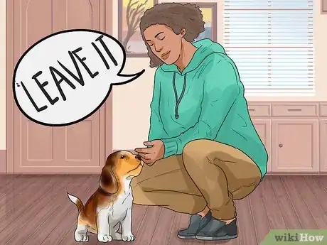 Image intitulée Make Your Dog Like Your Cat Step 18