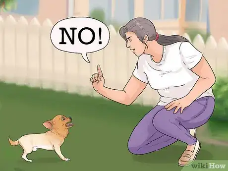 Image intitulée Discipline Your Dog Step 1