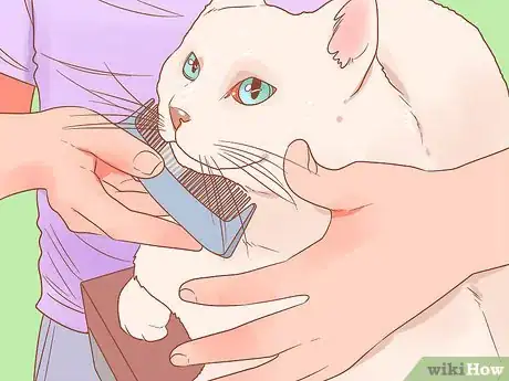 Image intitulée Reduce Stress in Cats Step 12