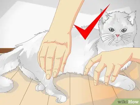 Image intitulée Spoil Your Cat Step 11