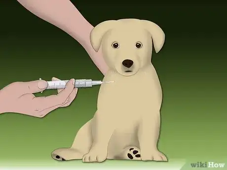 Image intitulée Treat Allergic Dermatitis in Dogs Step 8Bullet2