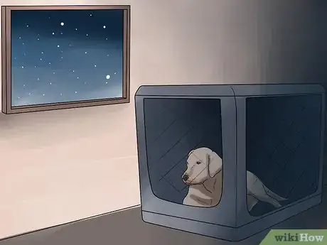 Image intitulée Teach Your Dog to Love the Crate Step 13