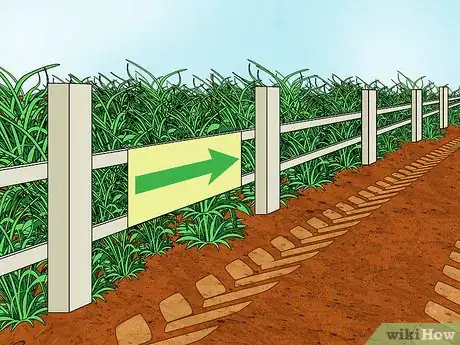 Image intitulée Fix Compacted Soil Step 2