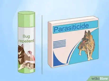 Image intitulée Get Rid of a Botfly in a Dog Step 14