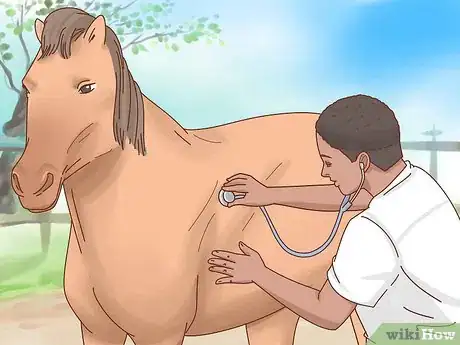 Image intitulée Fatten up a Horse Step 1