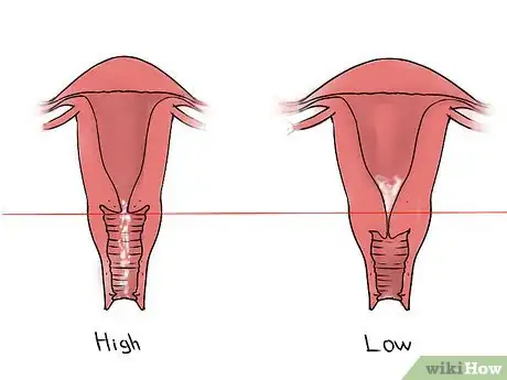 Image intitulée Feel Your Cervix Step 6