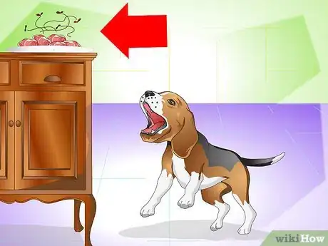 Image intitulée Cure a Dog's Stomach Ache Step 15