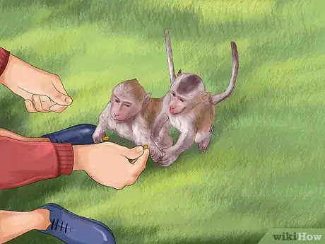 Image intitulée Prevent or Survive a Monkey Attack Step 3