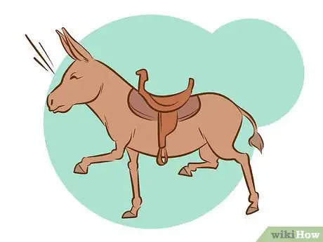 Image intitulée Ride a Donkey Step 9