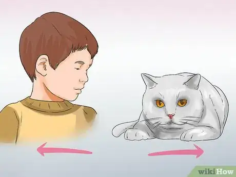 Image intitulée Know if a Child Is Allergic to Cats Step 4