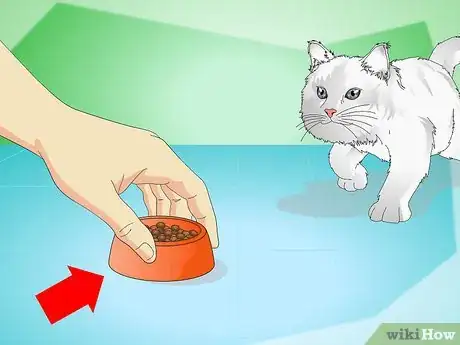 Image intitulée Stop Kittens from Crying Step 10